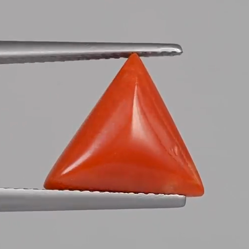 Red Coral - 5.04 Carats – original product close-up 2