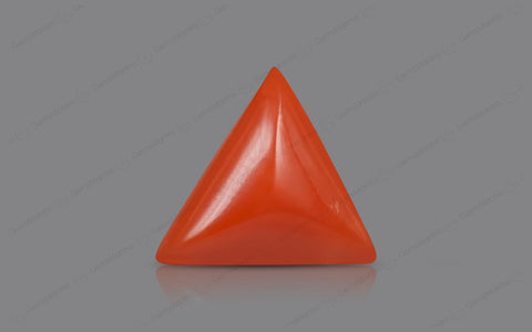 Red Coral - 5.04 Carats