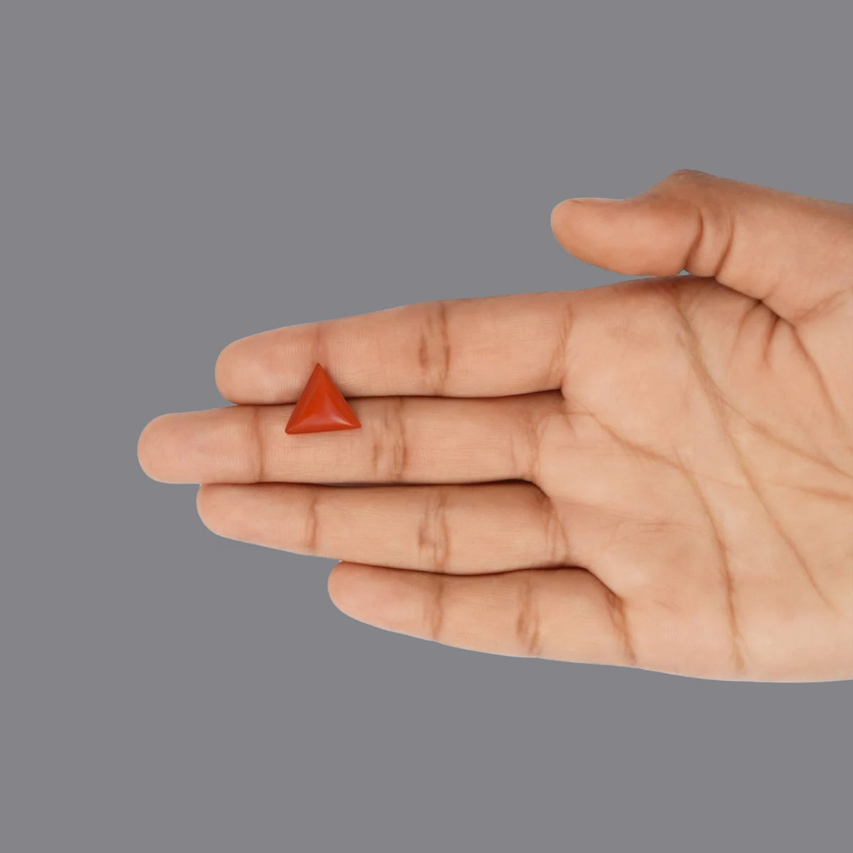 Red Coral - 5.04 Carats