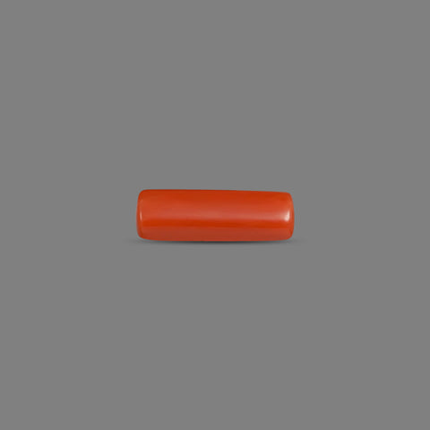 Red Coral - 3.56 Carats