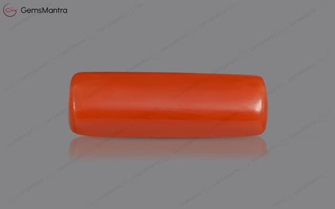 Red Coral - 3.56 Carats