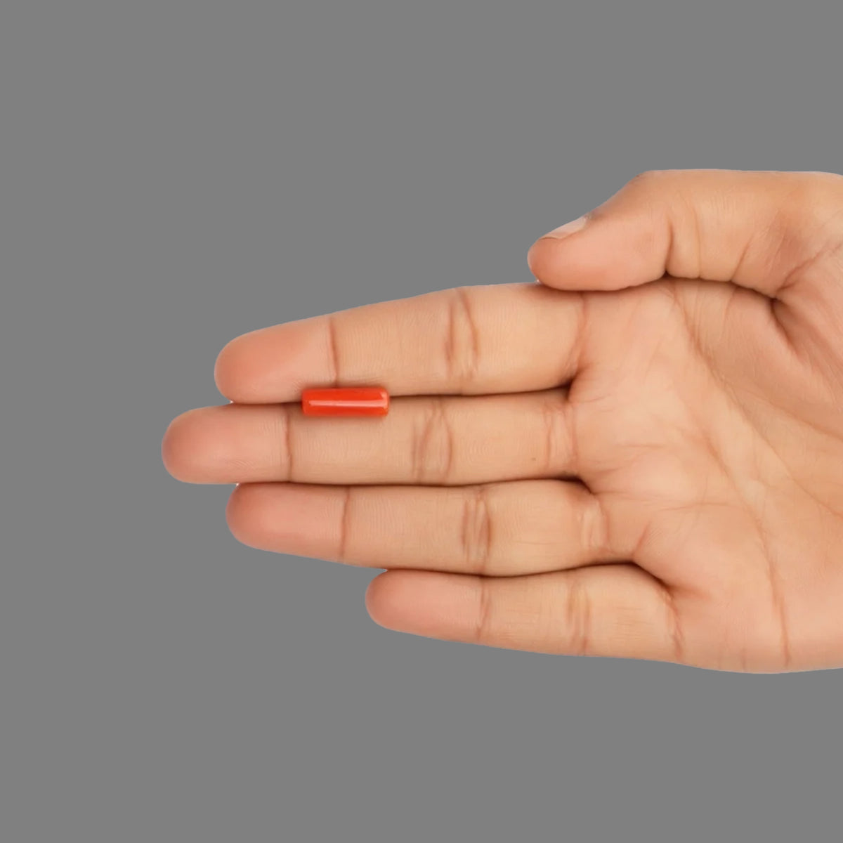 Red Coral - 3.56 Carats