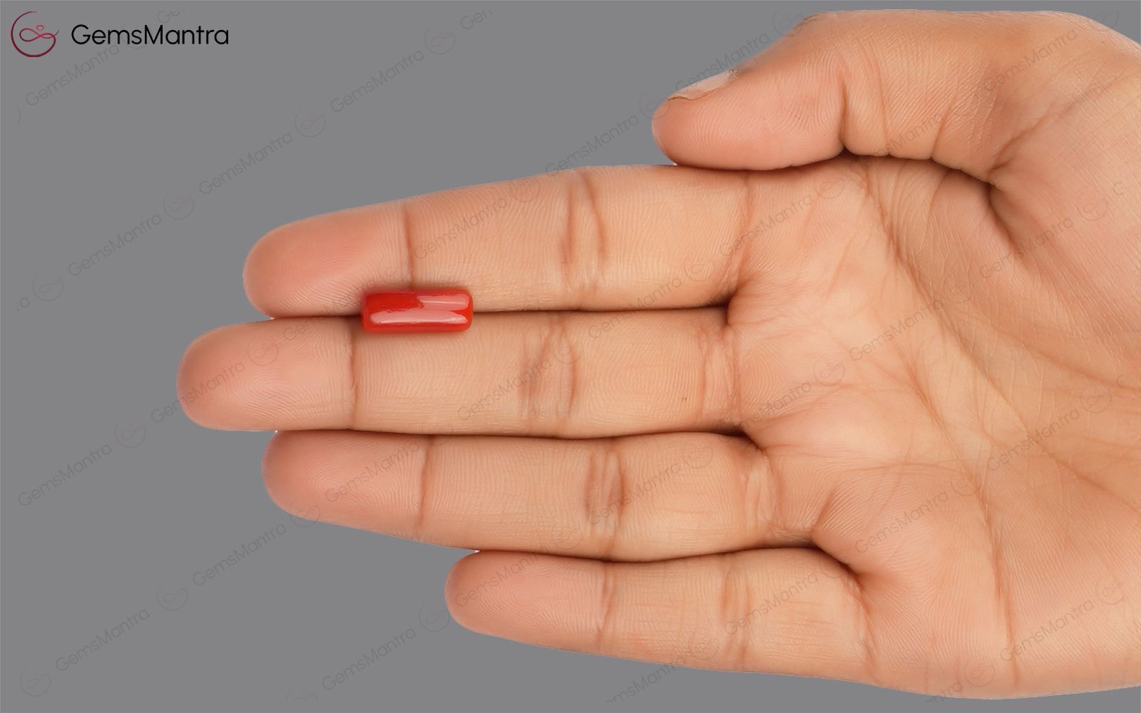 Red Coral - 3.44 Carats