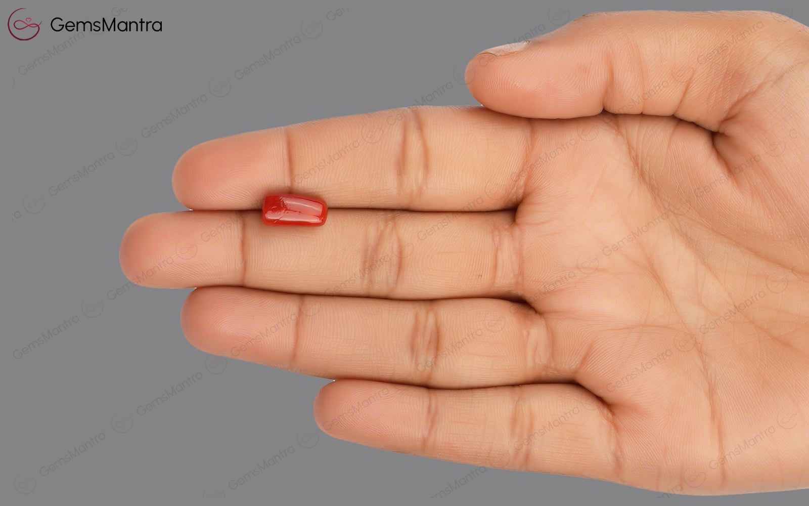 Red Coral - 3.46 Carats