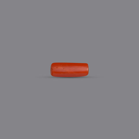 Red Coral - 3.58 Carats