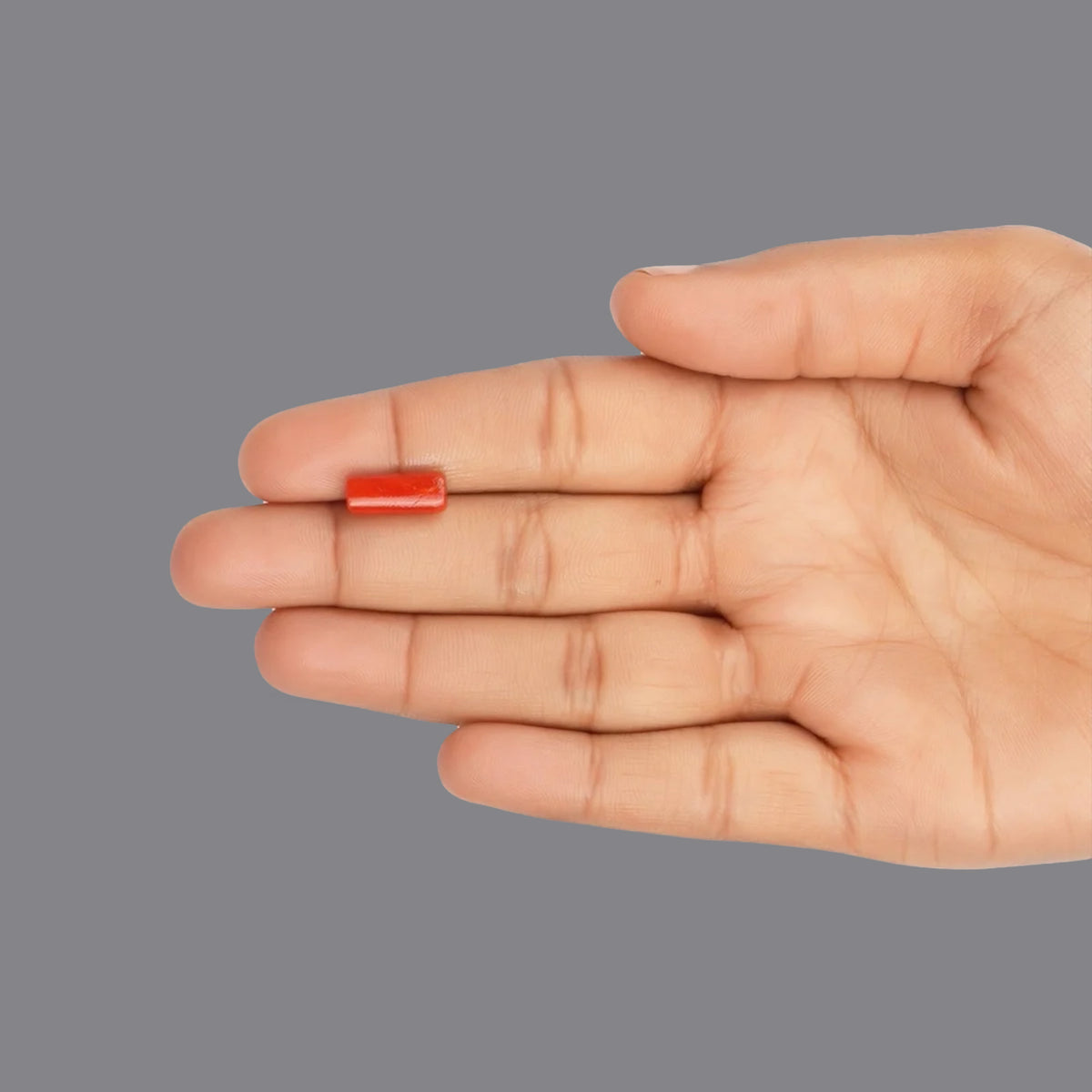 Red Coral - 3.58 Carats