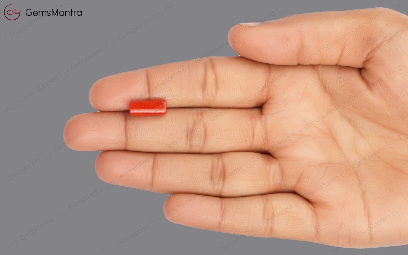 Red Coral - 3.58 Carats