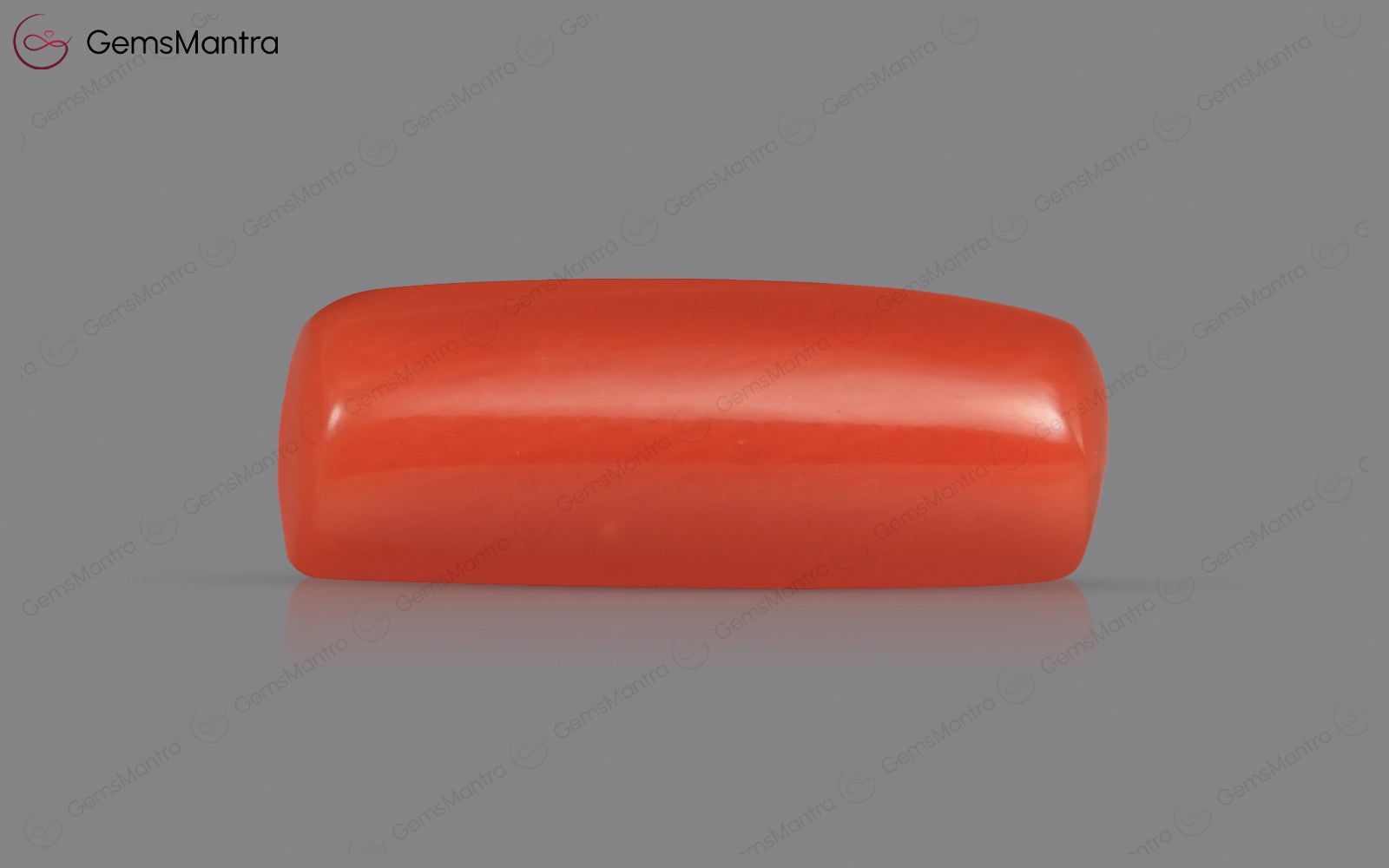 Red Coral - 3.38 Carats