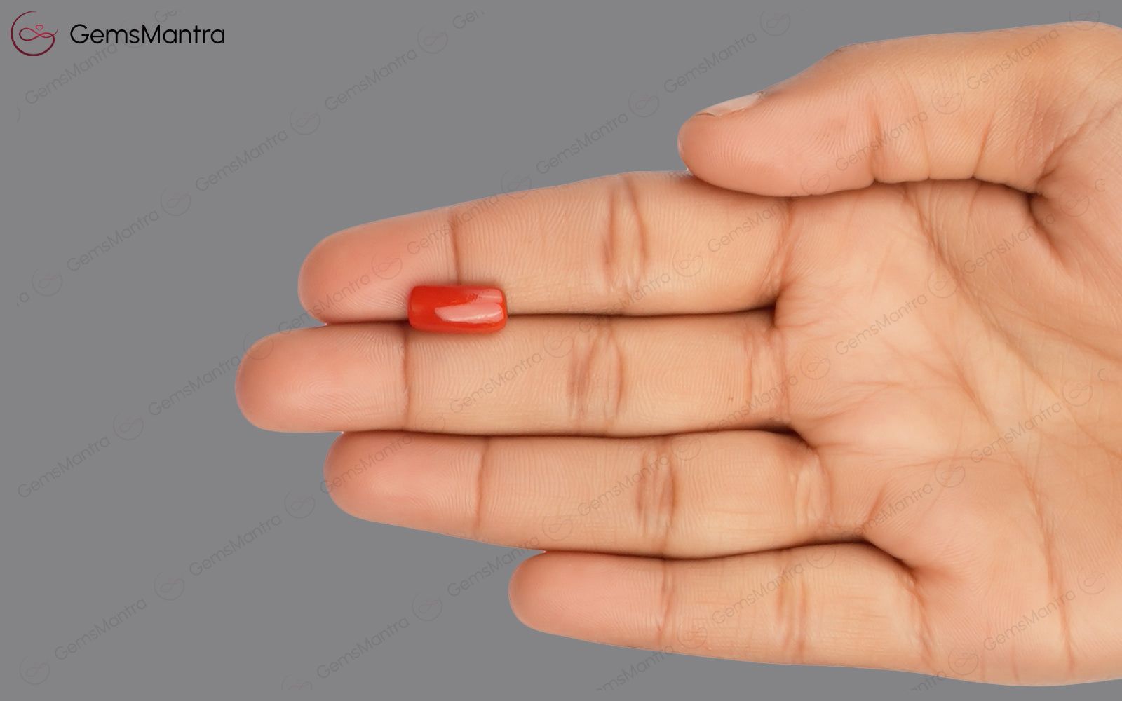 Red Coral - 3.38 Carats