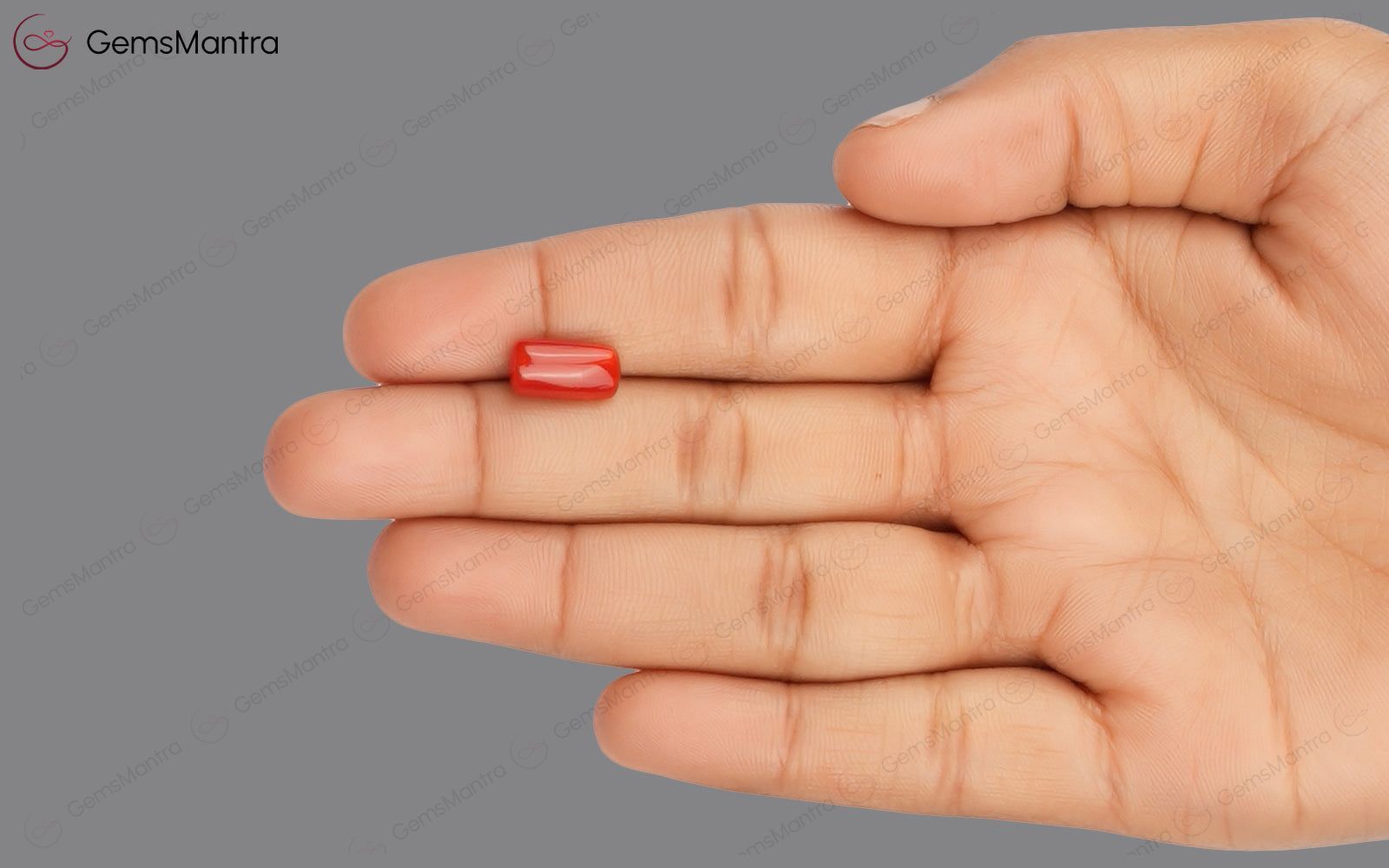 Red Coral - 3.51 Carats