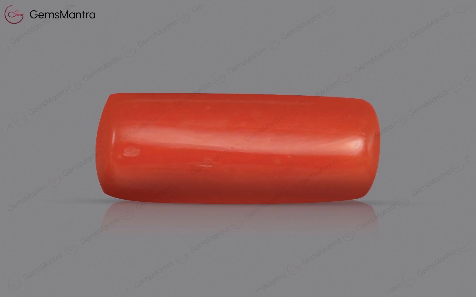 Red Coral - 3.73 Carats