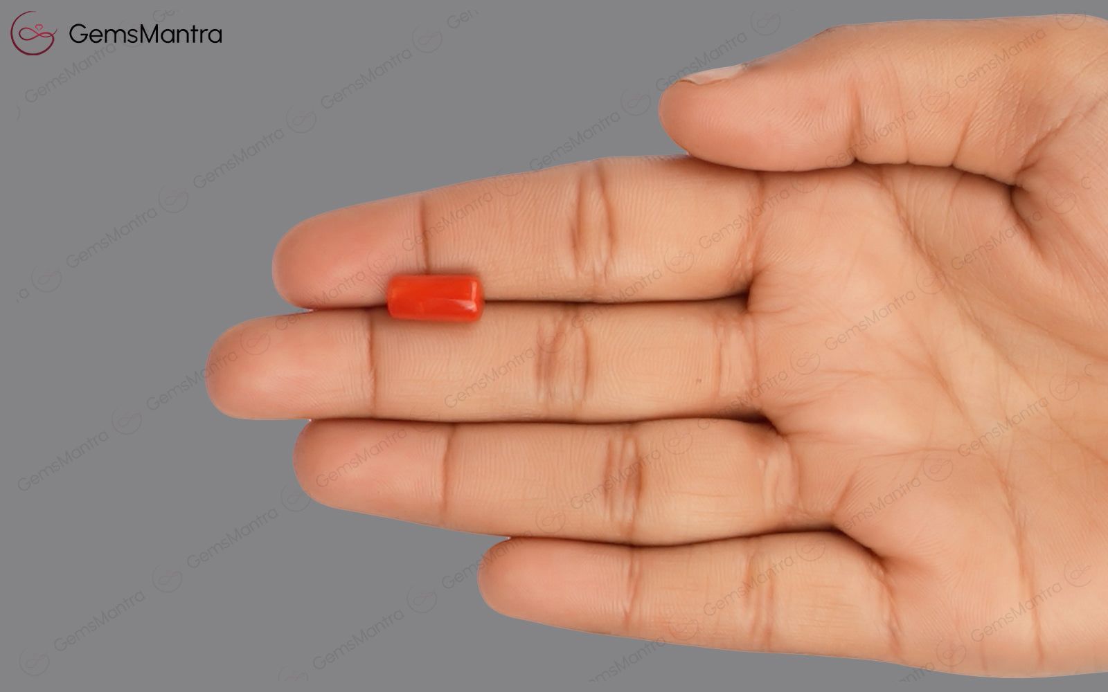 Red Coral - 3.87 Carats