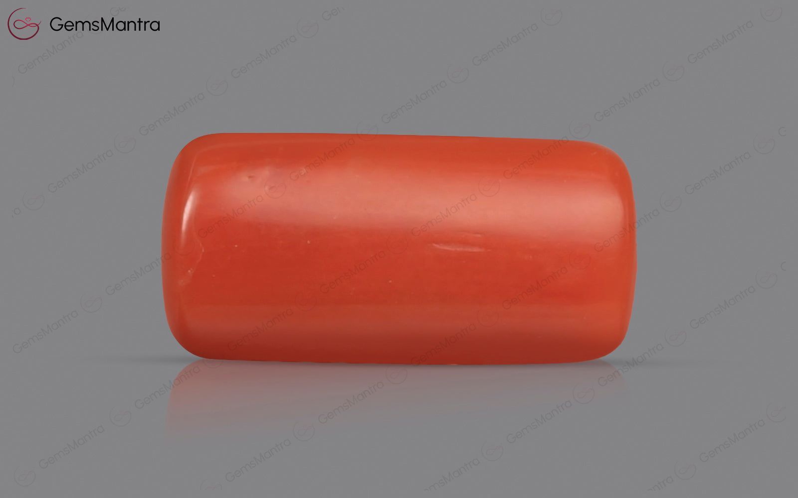 Red Coral - 3.67 Carats