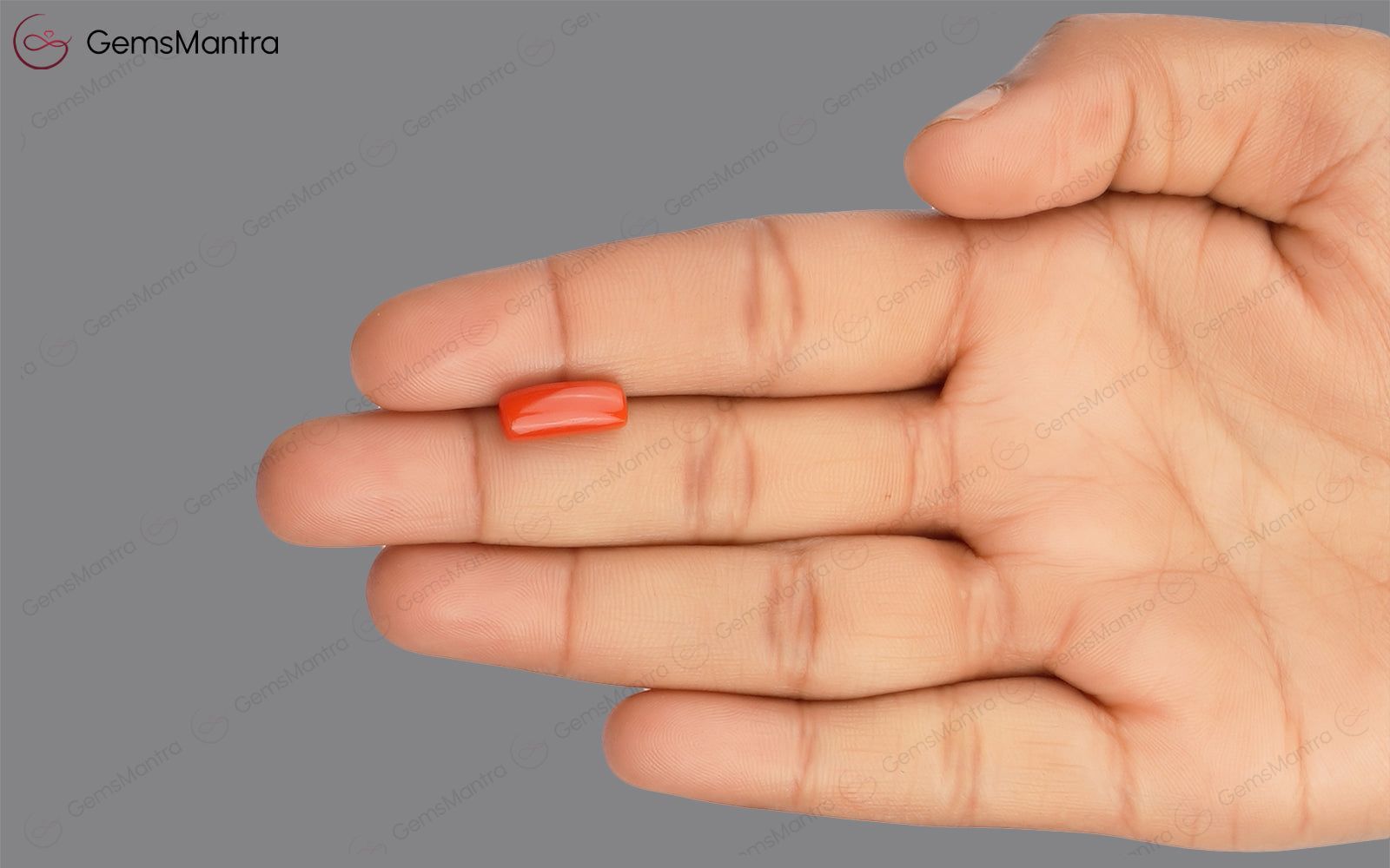 Red Coral - 3.97 Carats