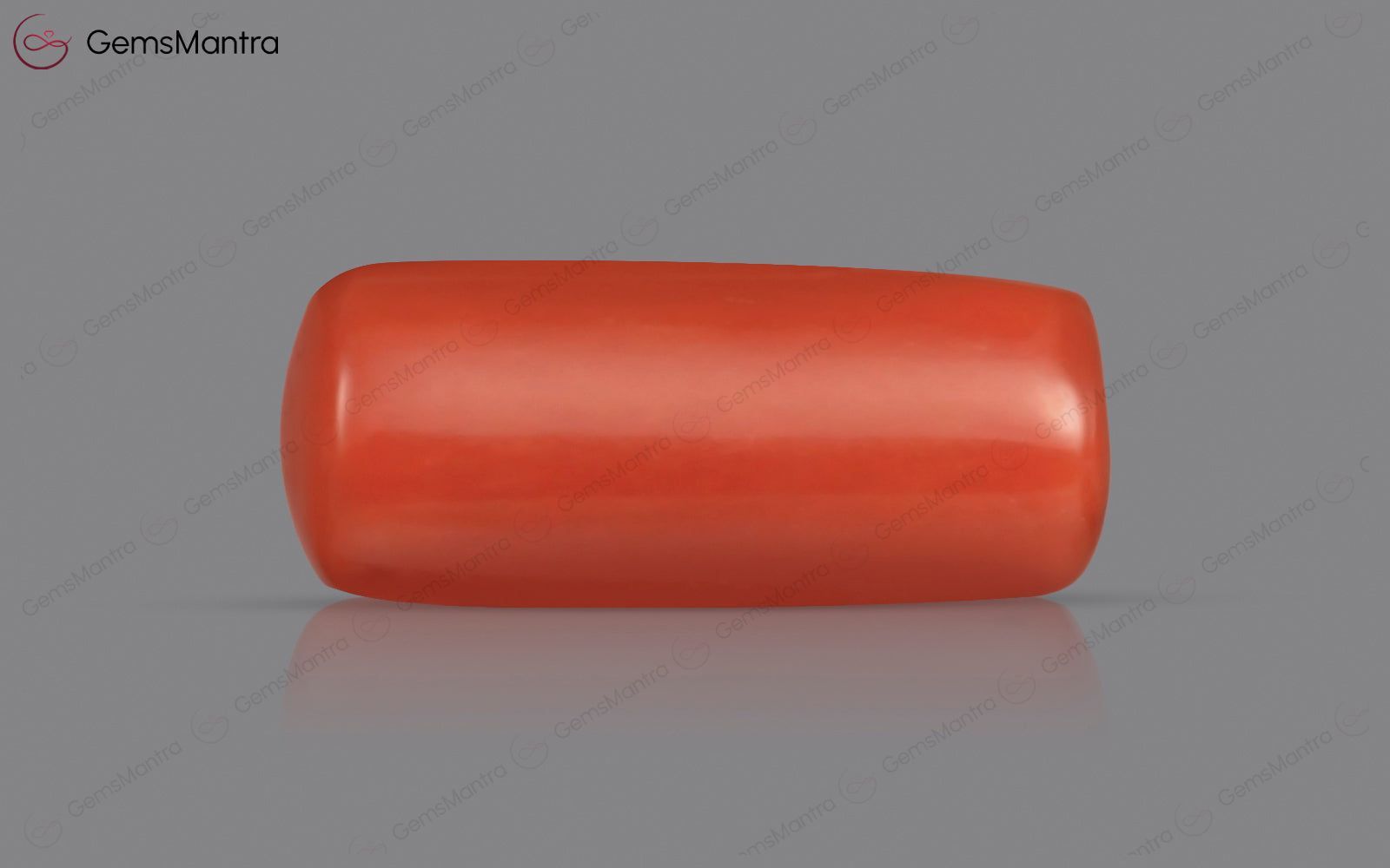 Red Coral - 3.77 Carats