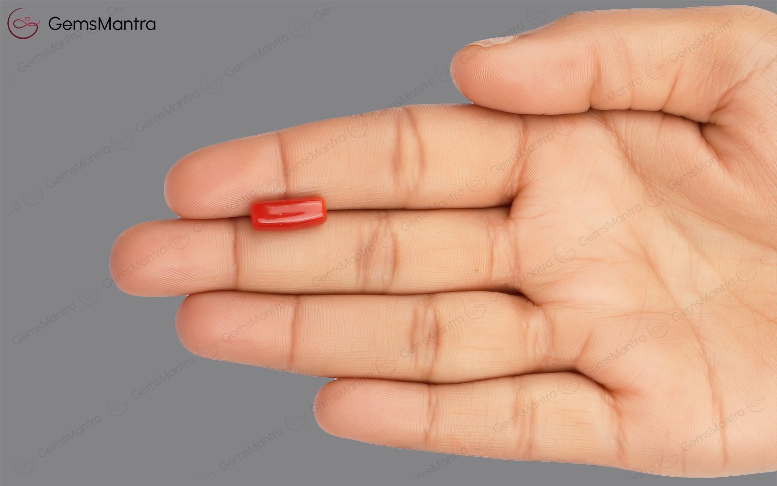 Red Coral - 3.77 Carats