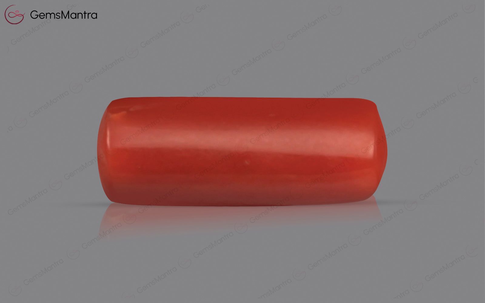 Red Coral - 3.72 Carats