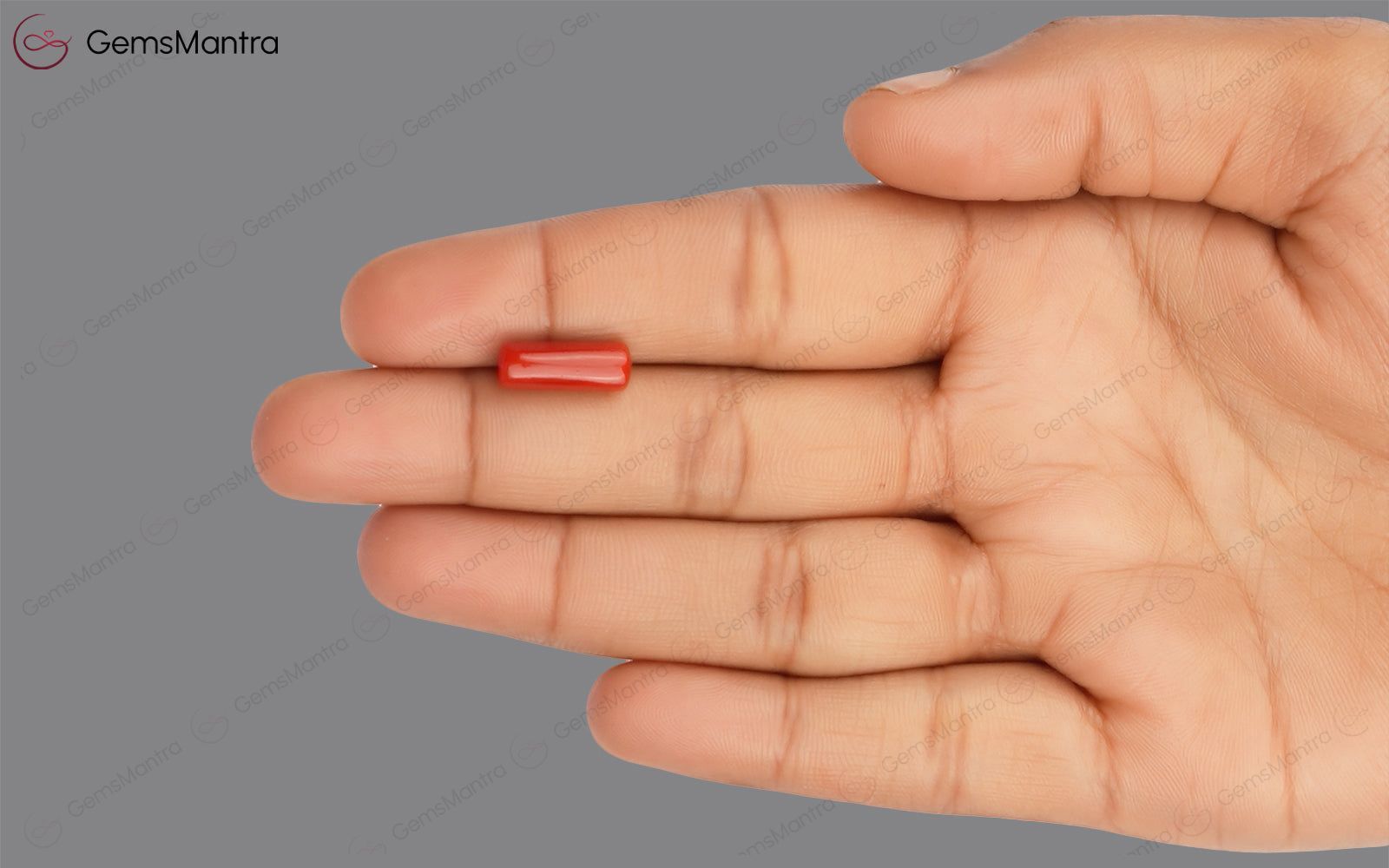 Red Coral - 3.72 Carats