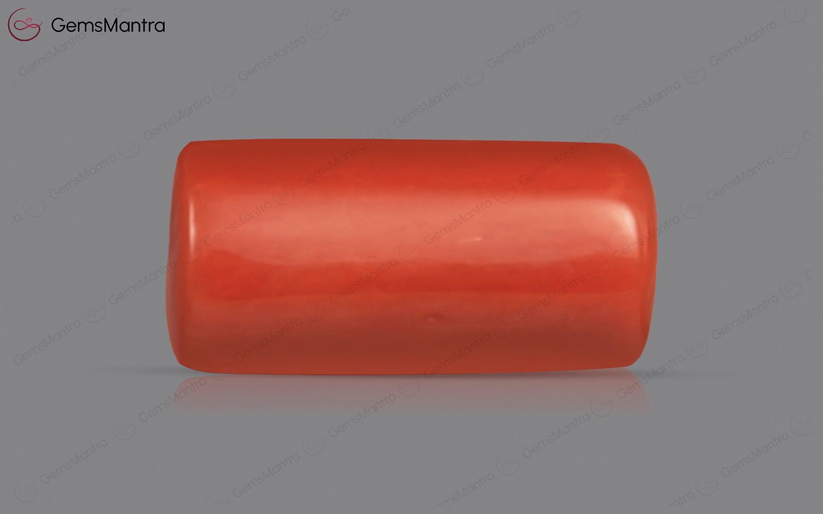 Red Coral - 3.67 Carats