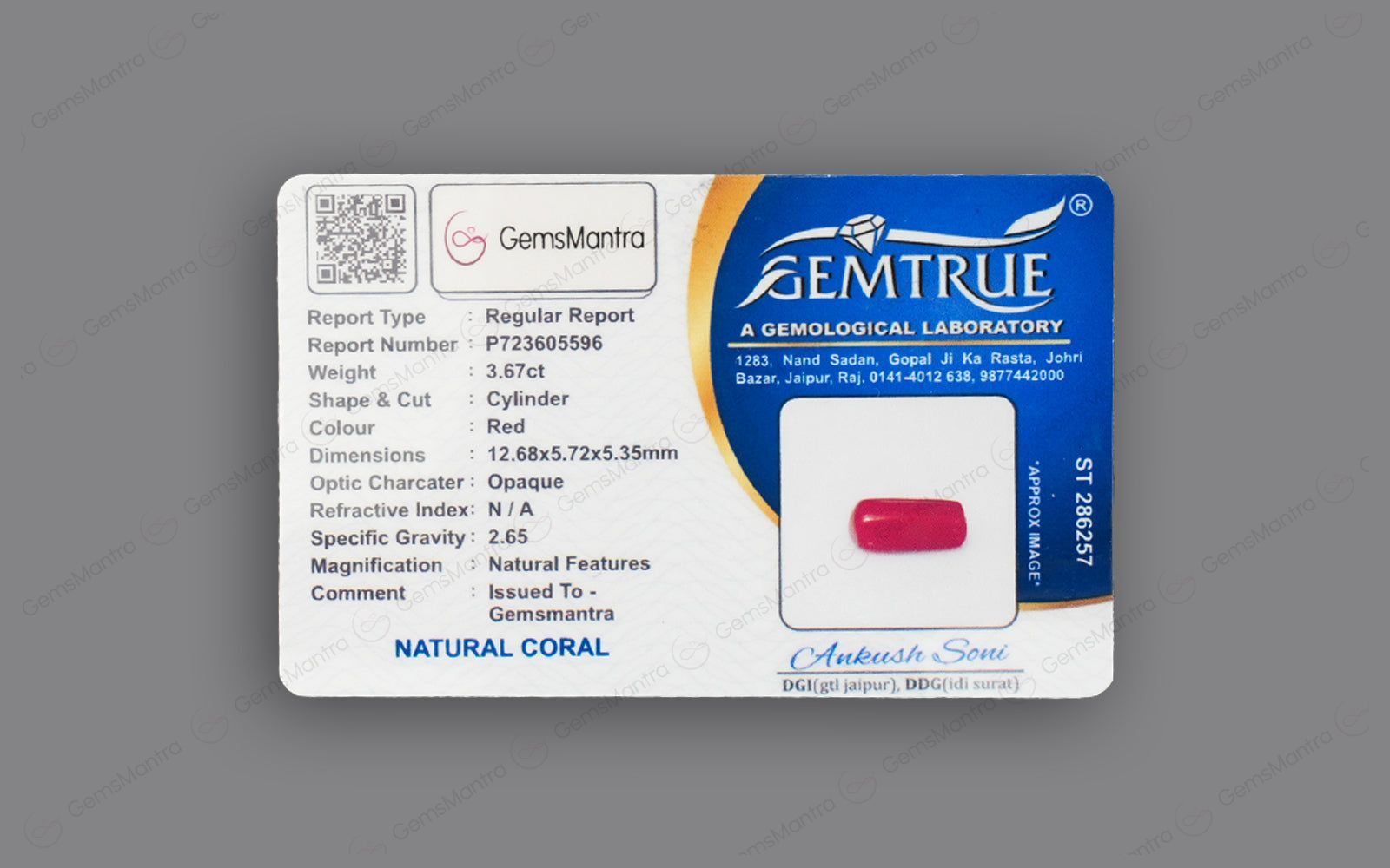 Red Coral - 3.67 Carats