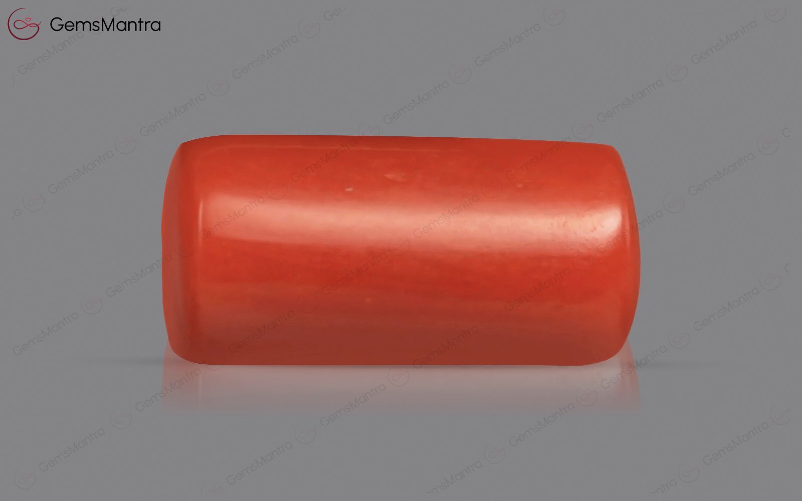 Red Coral - 3.67 Carats