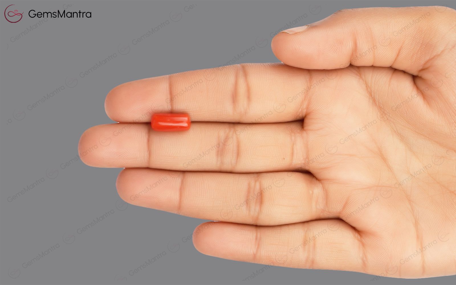 Red Coral - 3.67 Carats