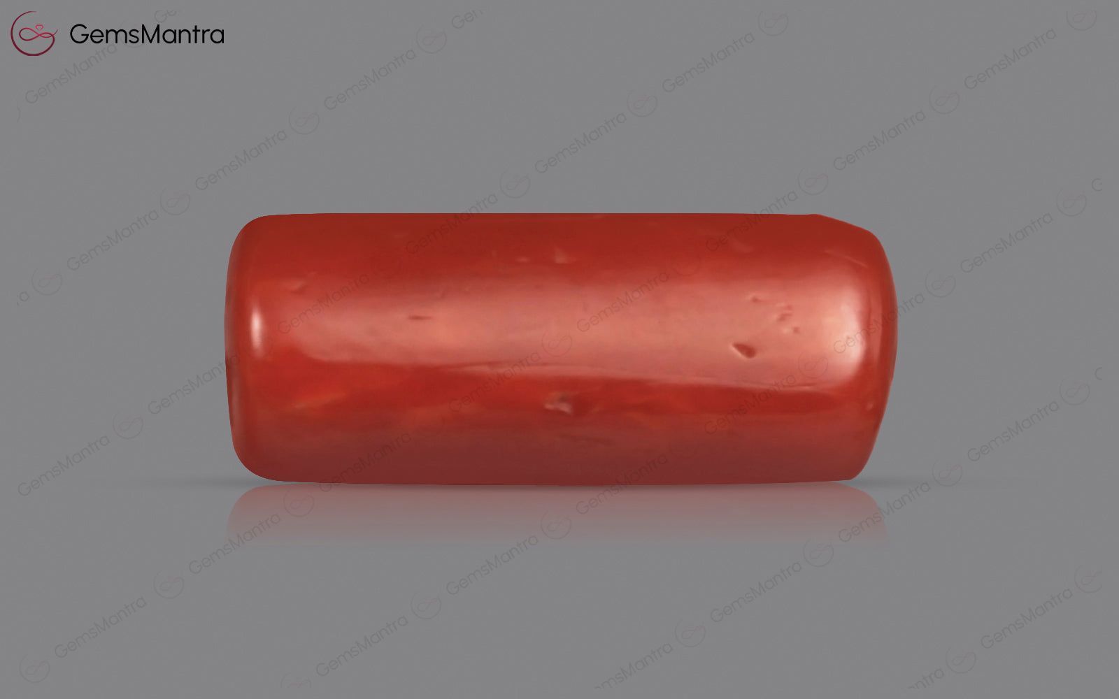 Red Coral - 3.67 Carats
