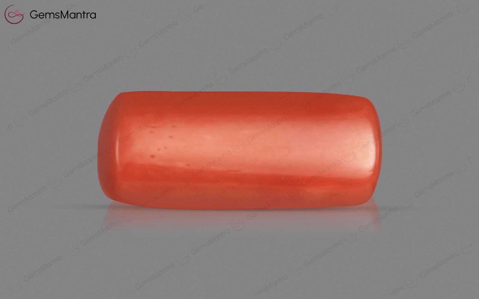 Red Coral - 3.65 Carats