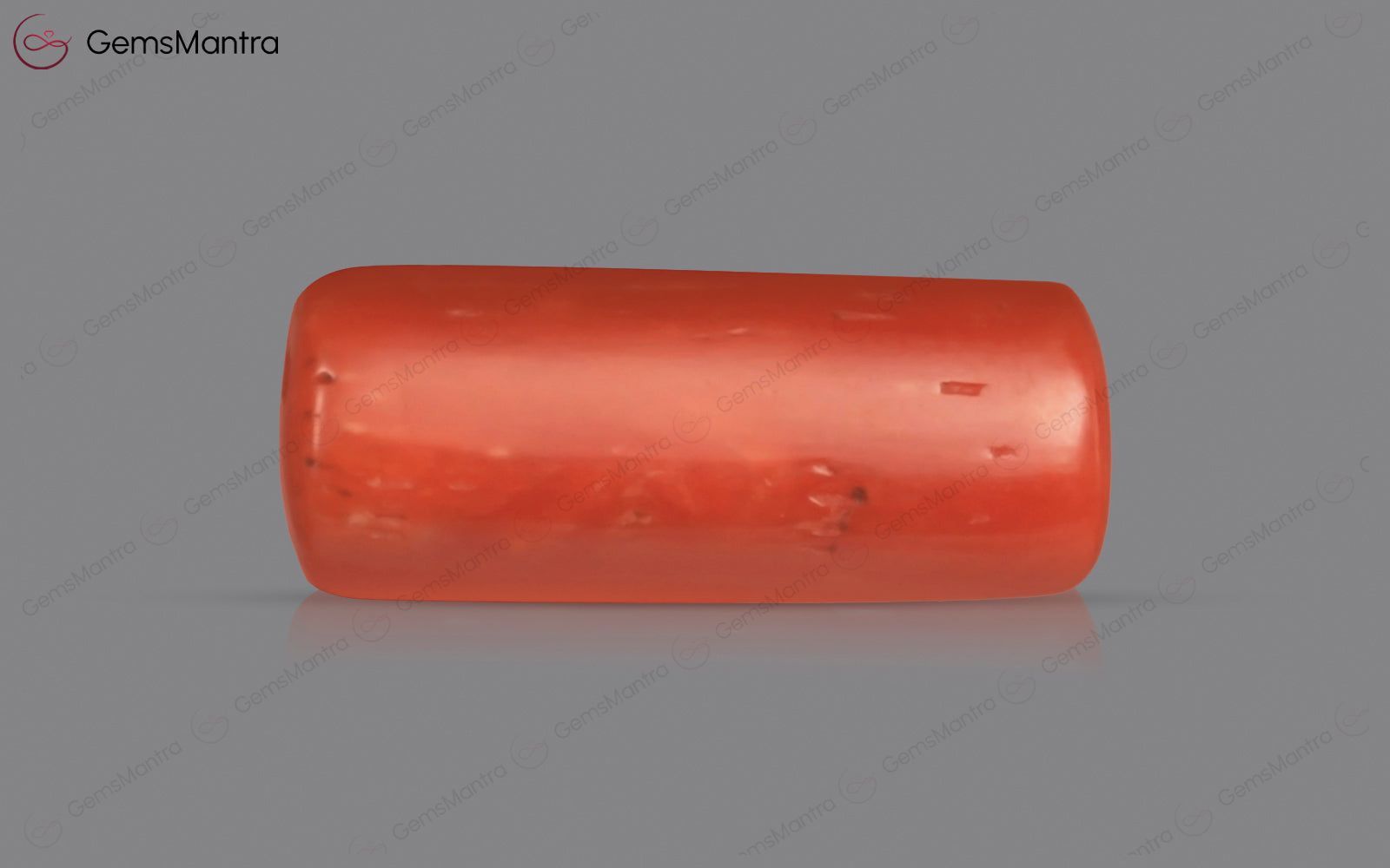 Red Coral - 3.88 Carats