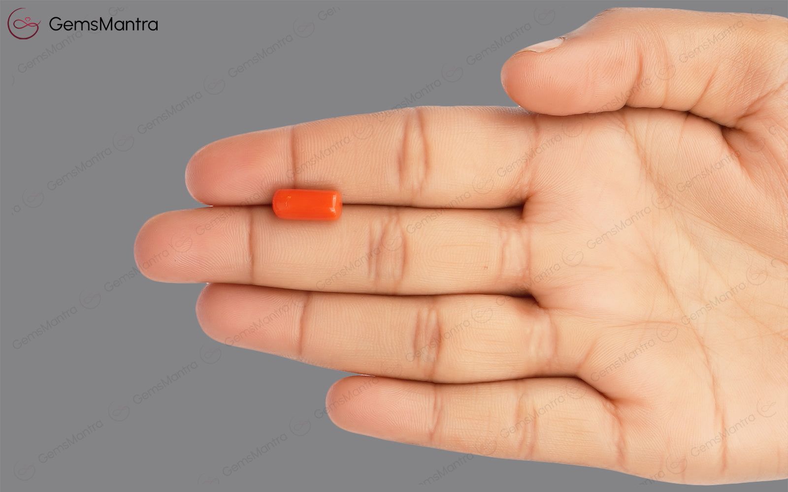 Red Coral - 3.88 Carats