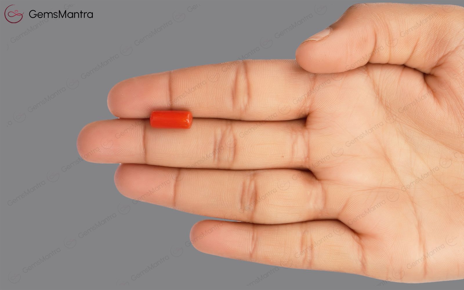 Red Coral - 3.81 Carats