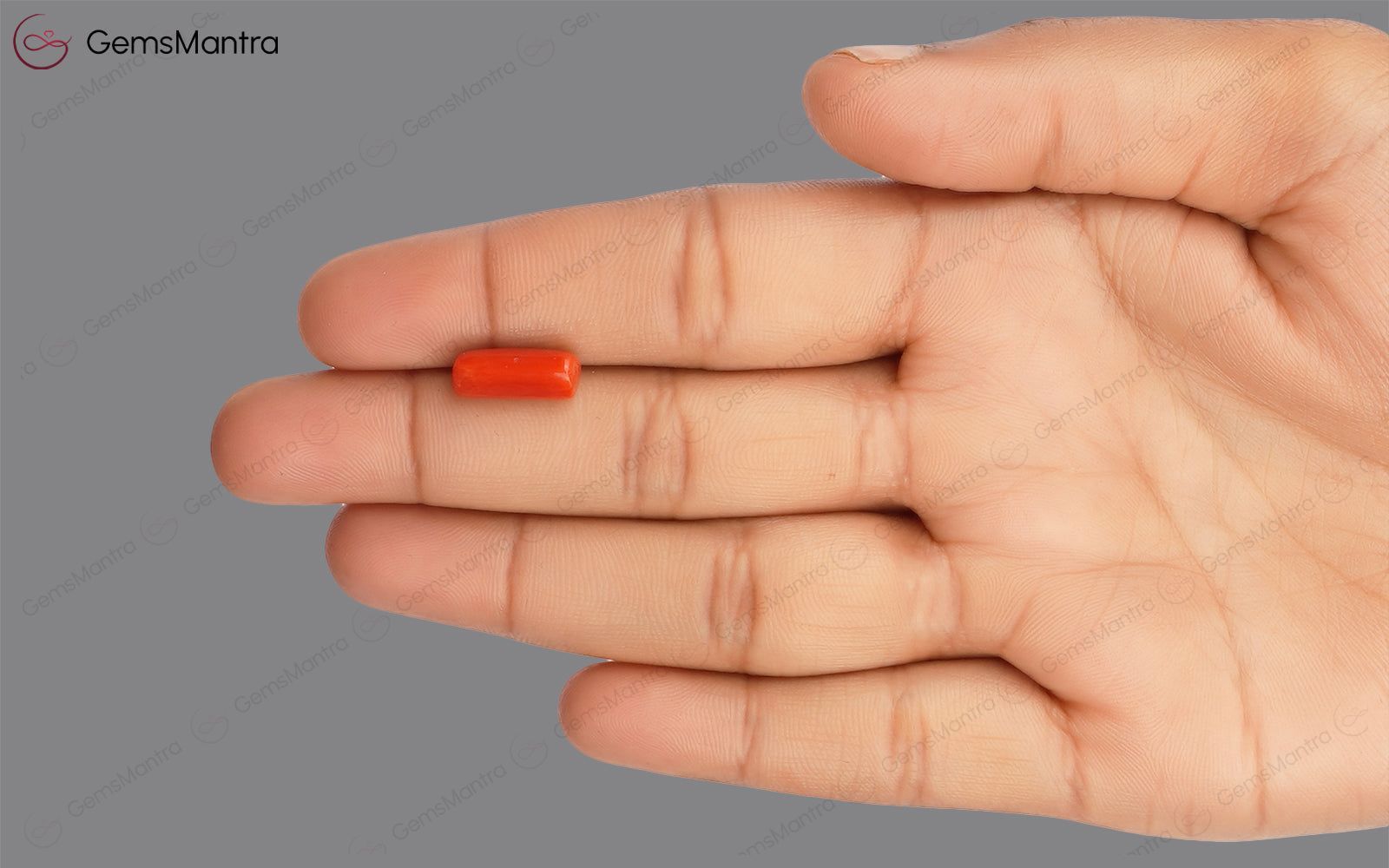 Red Coral - 3.67 Carats