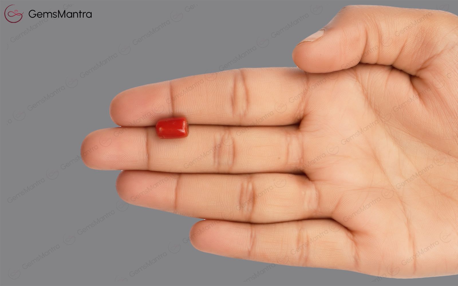 Red Coral - 3.71 Carats