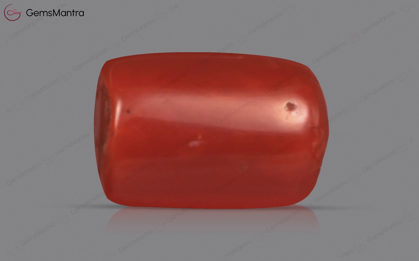 Red Coral - 4.31 Carats