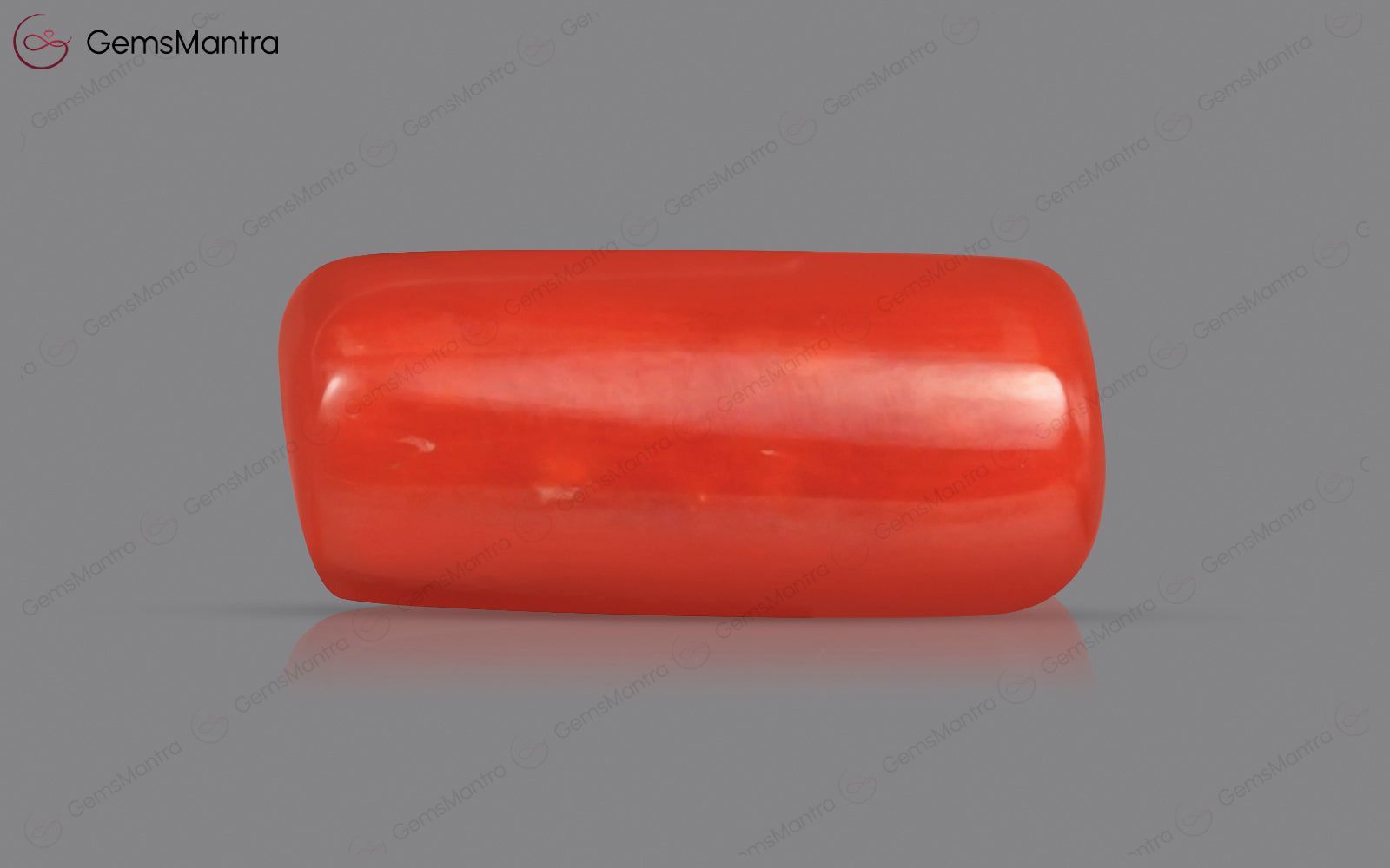 Red Coral - 4.04 Carats
