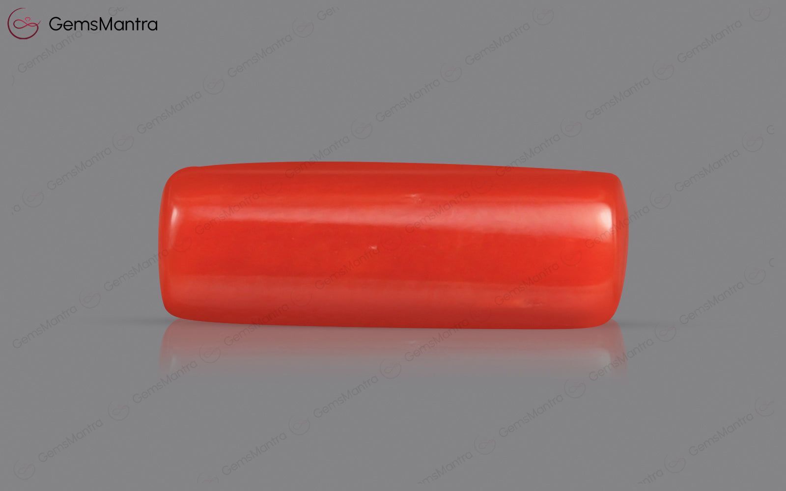 Red Coral - 4.08 Carats