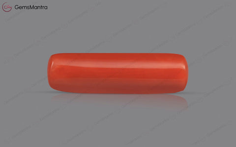 Red Coral - 4.77 Carats