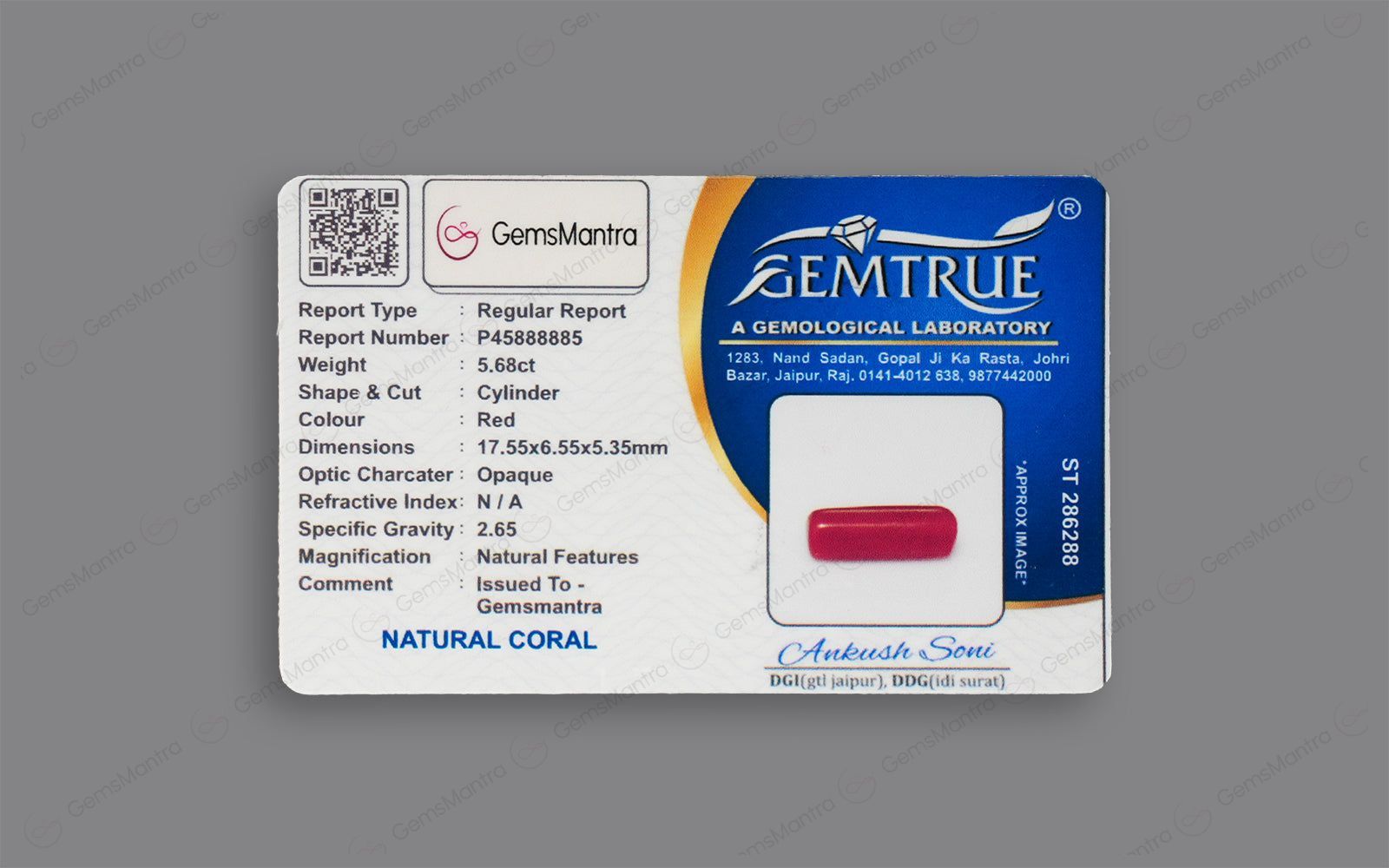 Red Coral - 5.68 Carats