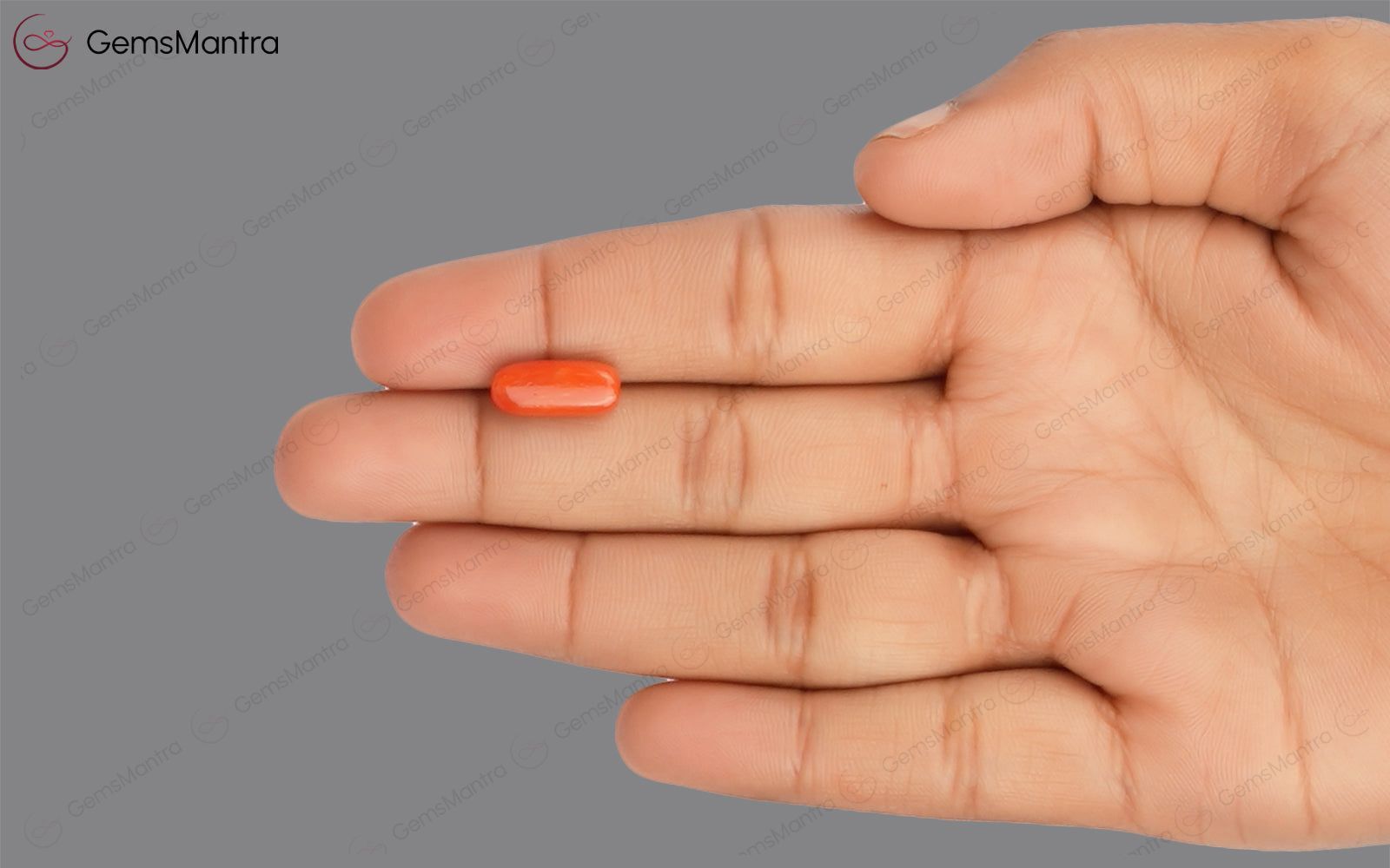 Red Coral - 4.02 Carats