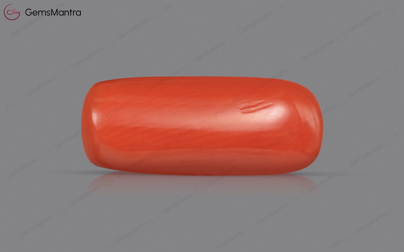 Red Coral - 4.8 Carats