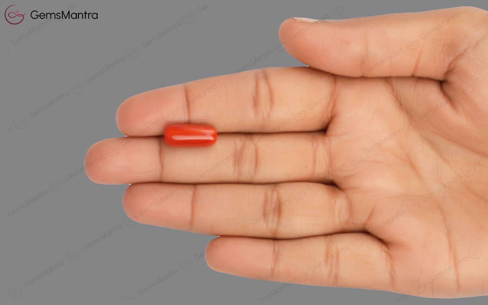Red Coral - 5.34 Carats