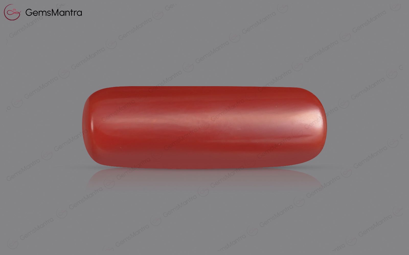 Red Coral - 7.67 Carats