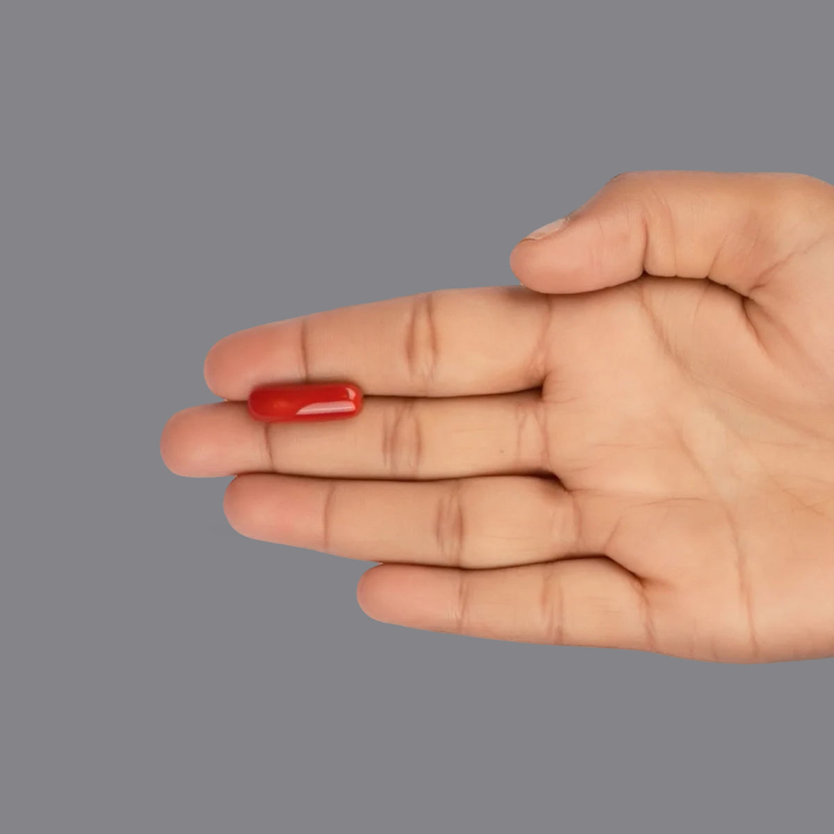 Red Coral - 8.31 Carats