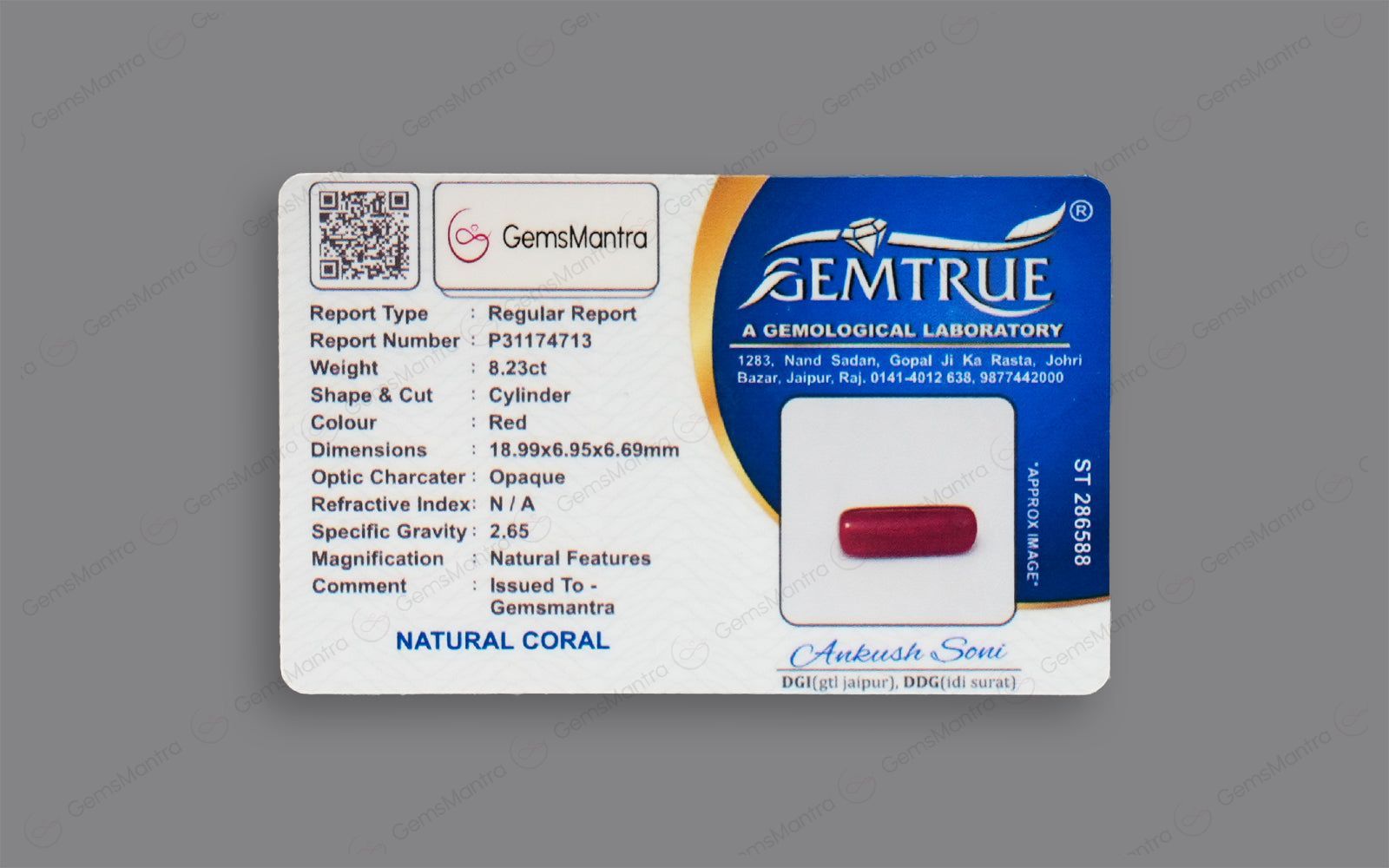 Red Coral - 8.23 Carats