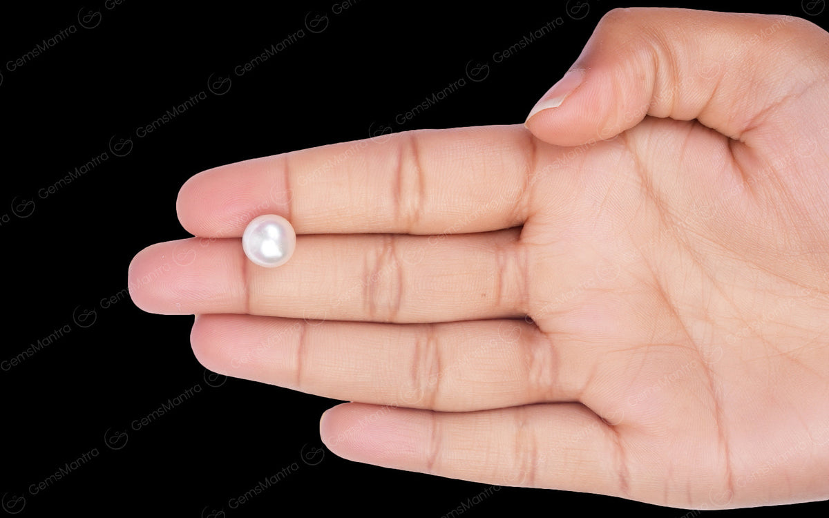 South Sea Pearl - 6.79 Carats