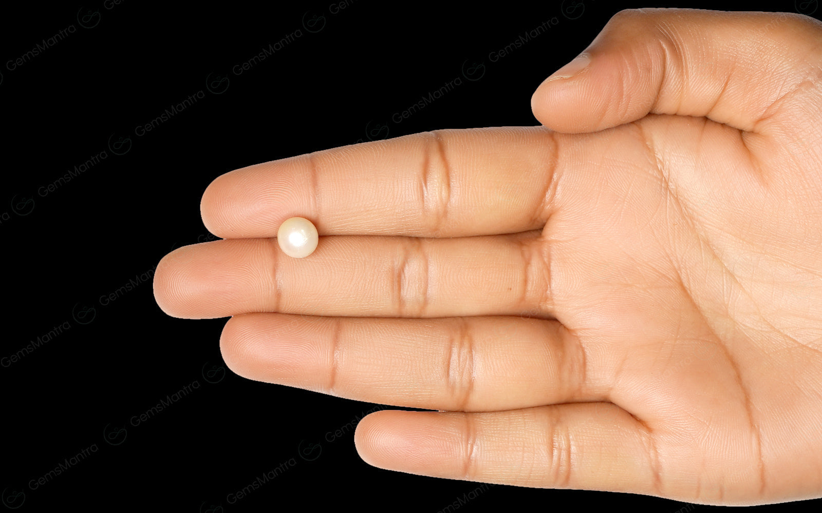 South Sea Pearl - 3.04 Carats