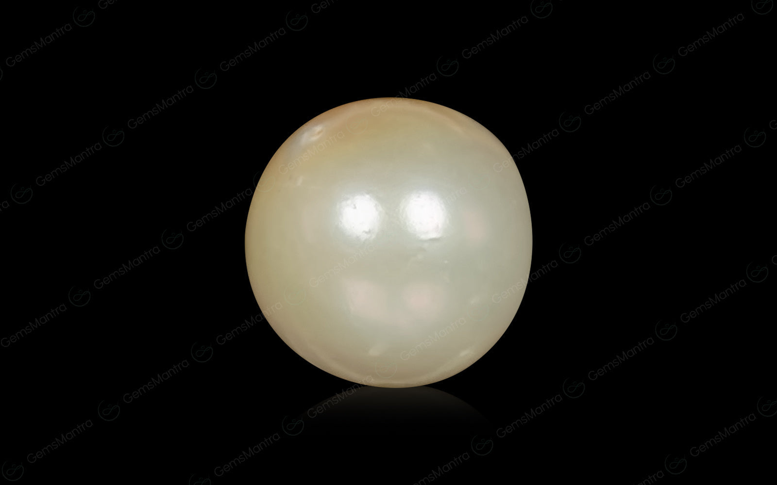 South Sea Pearl - 6.58 Carats