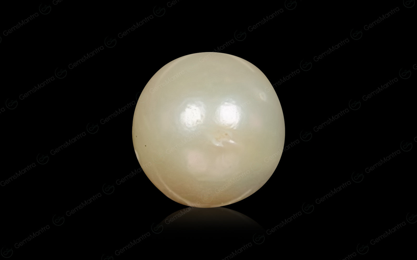 South Sea Pearl - 6.58 Carats