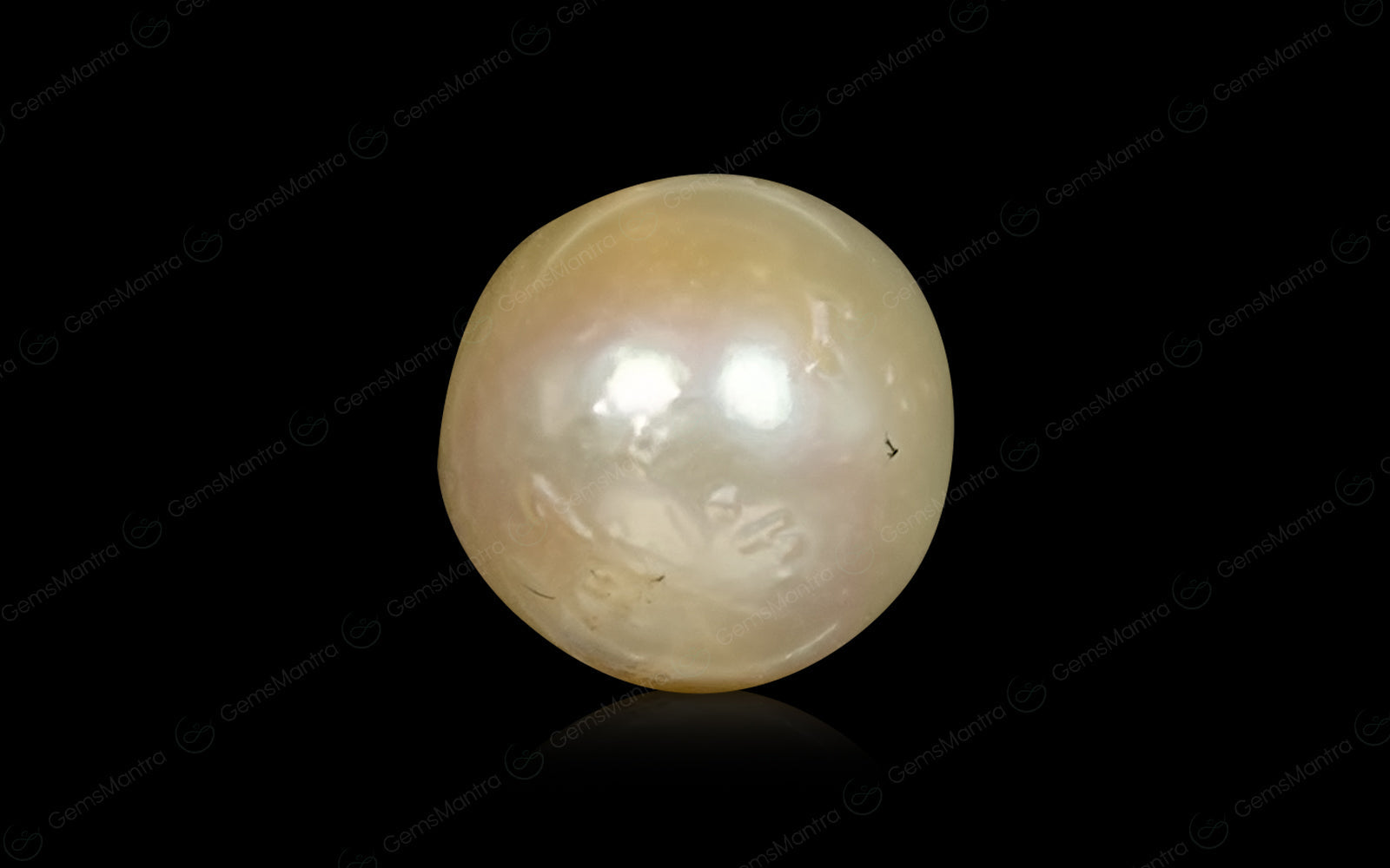 South Sea Pearl - 3.24 Carats