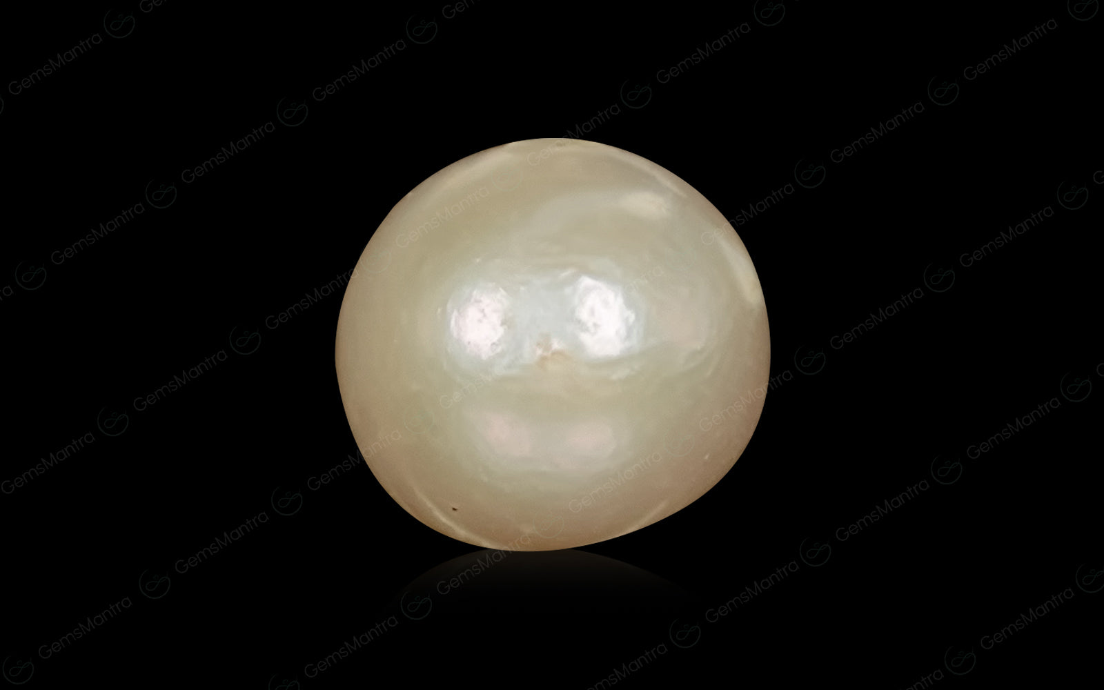 South Sea Pearl - 5.39 Carats